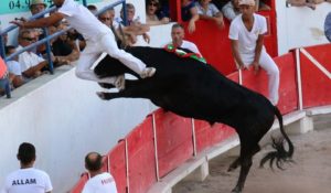 Course Taurine Castries